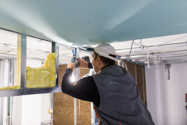 Best Crawl Space Insulation  in London, CA
