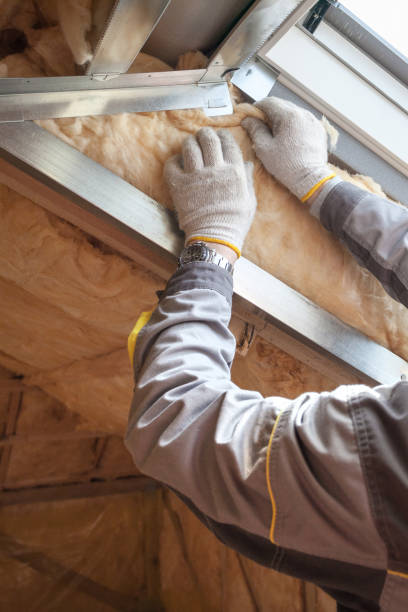 Soundproof Insulation Installation in London, CA