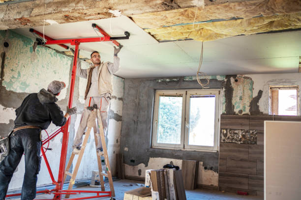 Best Insulation Contractor Near Me  in London, CA