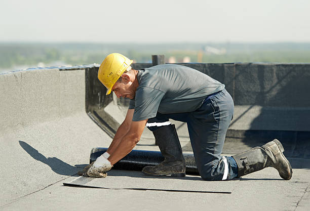 Best Residential Insulation Services  in London, CA