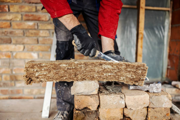 Best Insulation Replacement Services  in London, CA