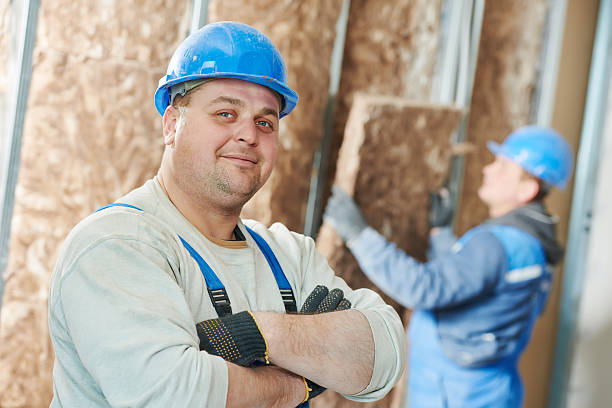 Best Attic Insulation Installation  in London, CA