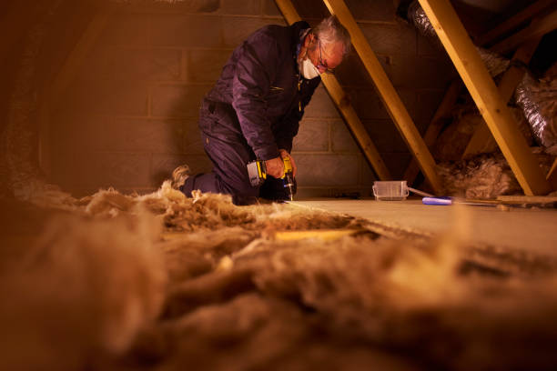 Best Affordable Insulation Services  in London, CA